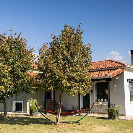 Villa The Hobbit Hole Tríkala Esterno foto